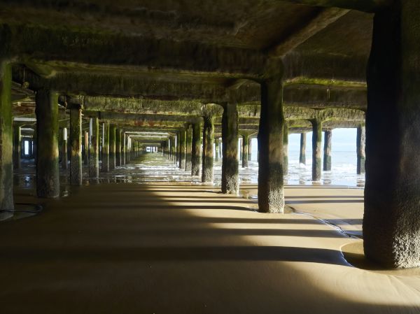 Pier And Beam Leveling in Webster